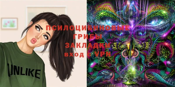 СК Богданович