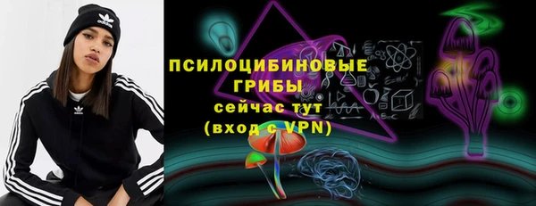 СК Богданович