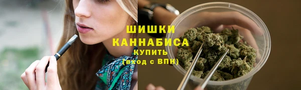 гашик Богородицк