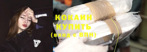 гашик Богородицк