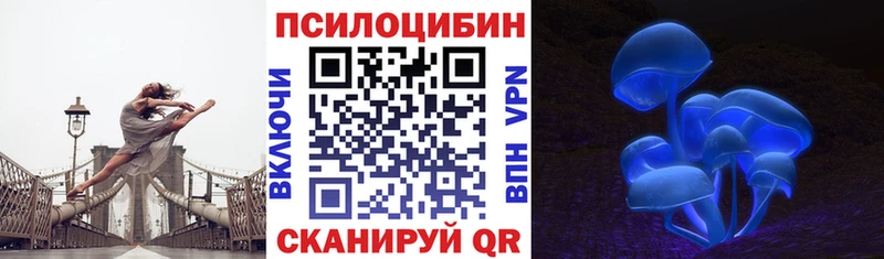 Псилоцибиновые грибы мухоморы ссылка на мегу Дорогобуж